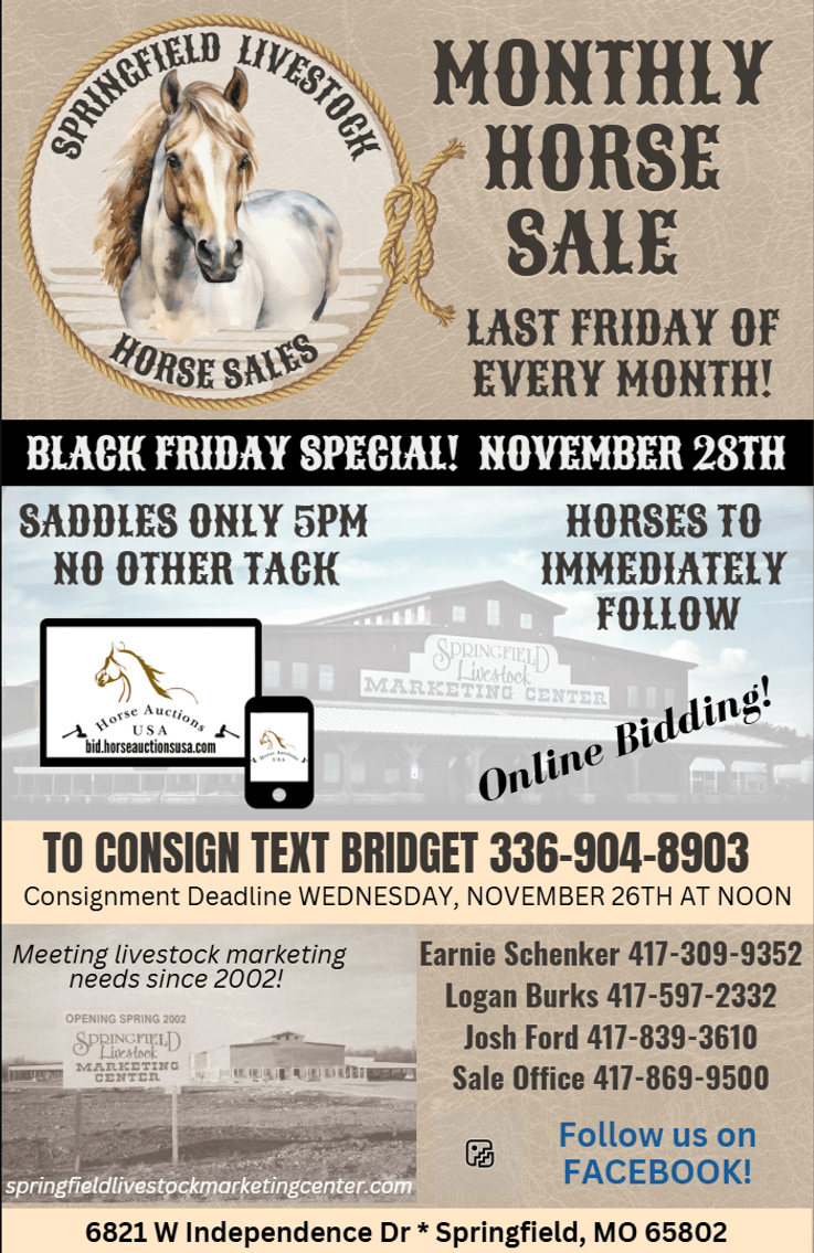 Image for Springfield Livestock Horse Sale FRIDAY NOVEMBER 28TH - Springfield, MO