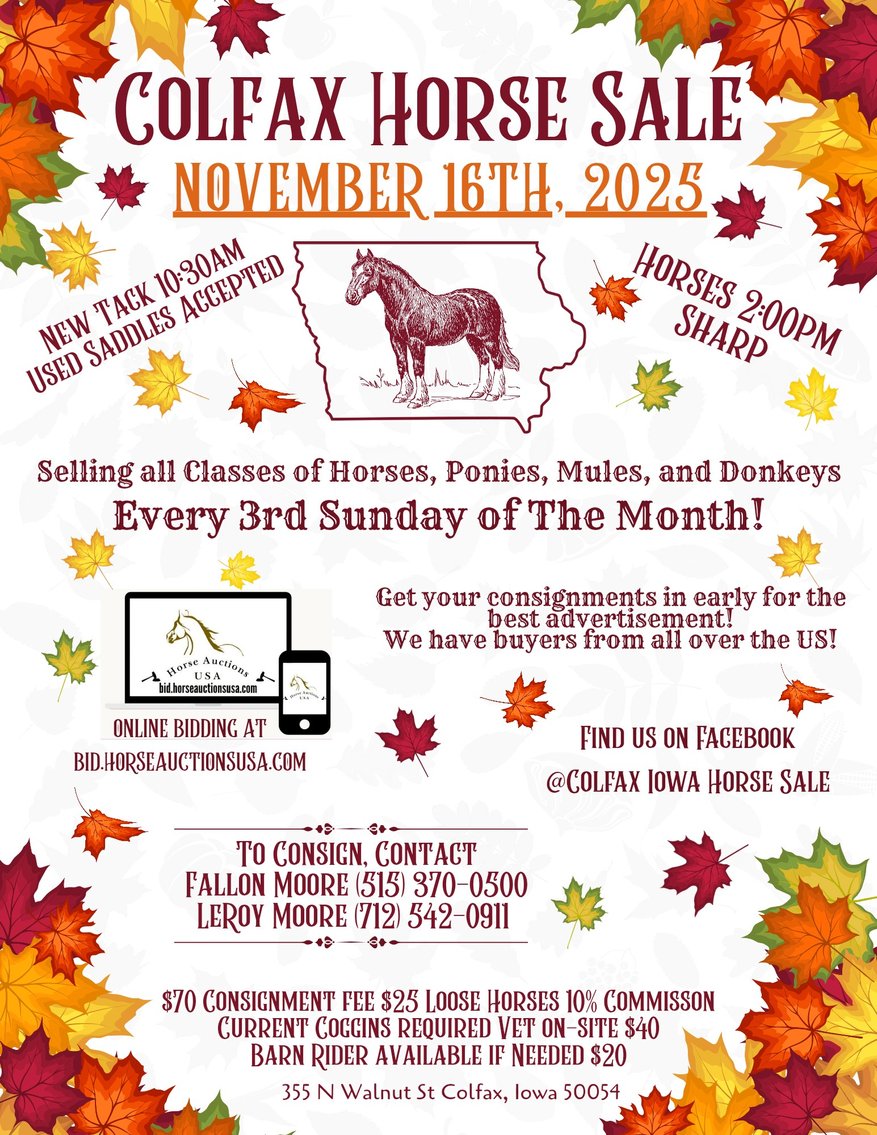 Image for Colfax Horse Sale - SUNDAY, NOVEMBER 16TH - Colfax, Iowa