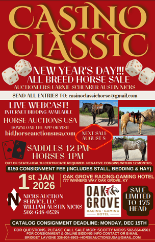 Image for Casino Classic NEW YEARS DAY All Breed Horse Sale - Oak Grove, Kentucky