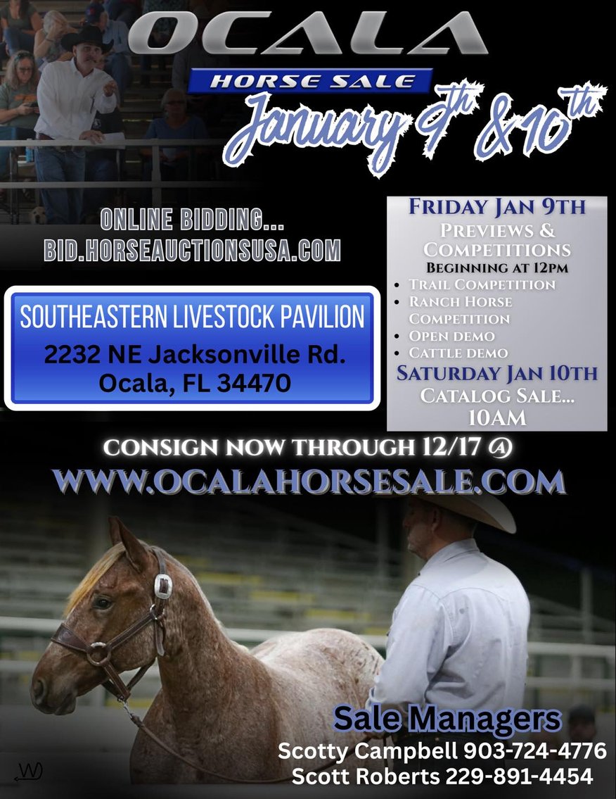Image for Ocala Horse Sale Winter Sale - Saturday, January 10th - Ocala, Florida
