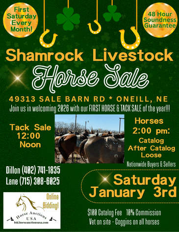 Image for Shamrock Livestock Market Horse Sale - SATURDAY, JANUARY 3RD - O'Neill, Nebraska