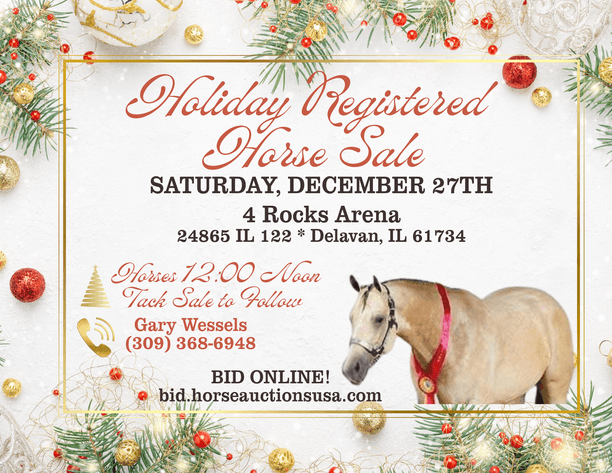 Image for Holiday Registered Horse Sale - SATURDAY, DECEMBER 27TH - Delavan, Illinois