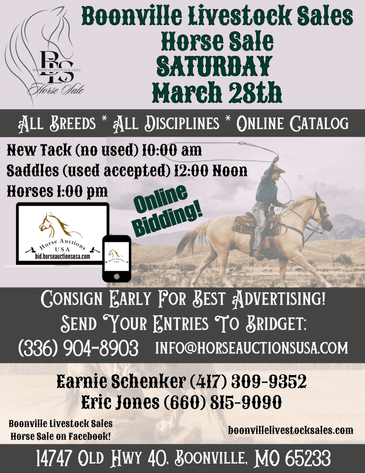 Image for Boonville Livestock Sales Spring Horse Sale - SATURDAY, MARCH 28TH - Boonville, MO