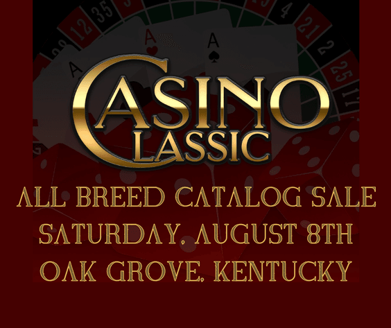 Image for Casino Classic All Breed Horse Sale - Oak Grove, Kentucky SATURDAY,  AUGUST 8TH