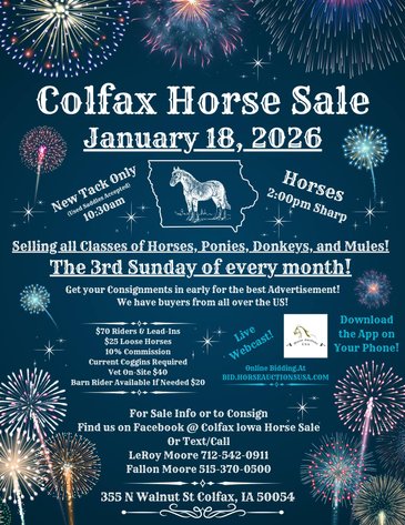 Image for Colfax Horse Sale  - SUNDAY, JANUARY 18TH - Colfax, Iowa