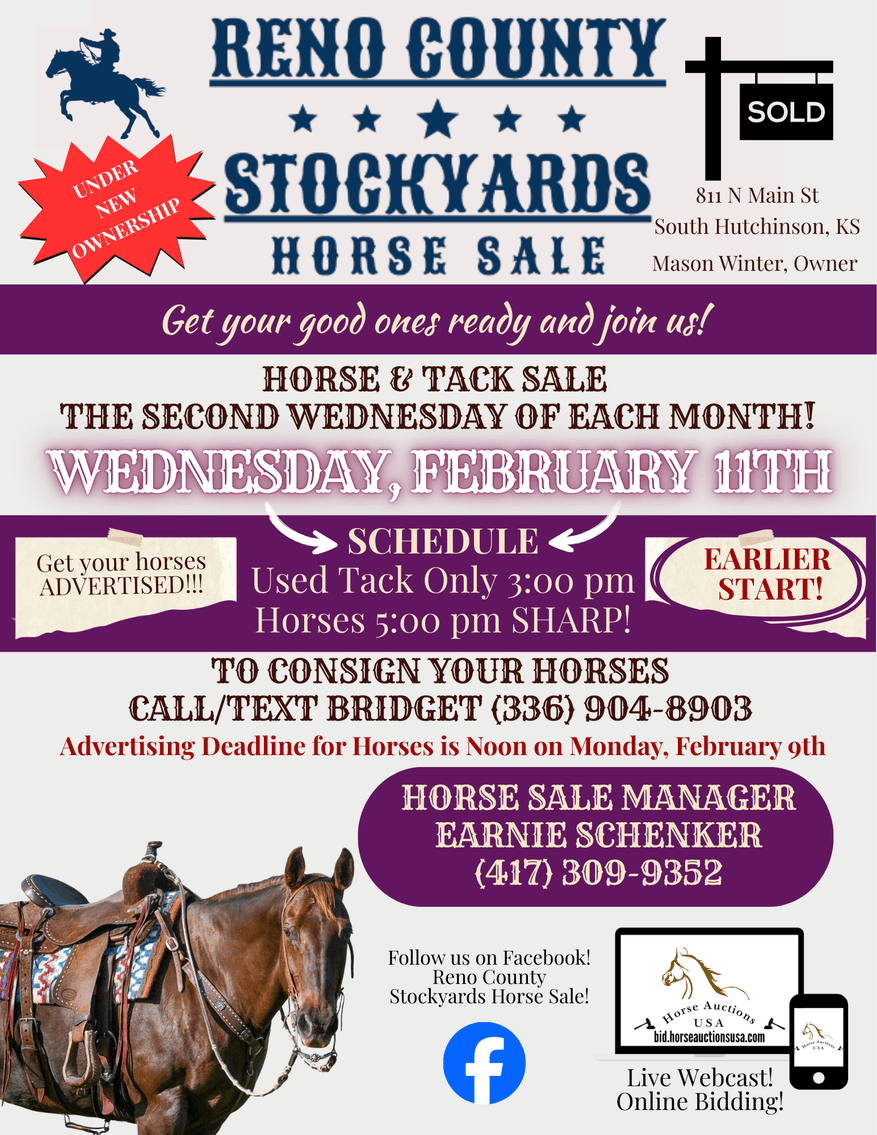Image for Reno County Stockyards Horse Sale WEDNESDAY, FEBRUARY 11TH - South Hutchinson, KS