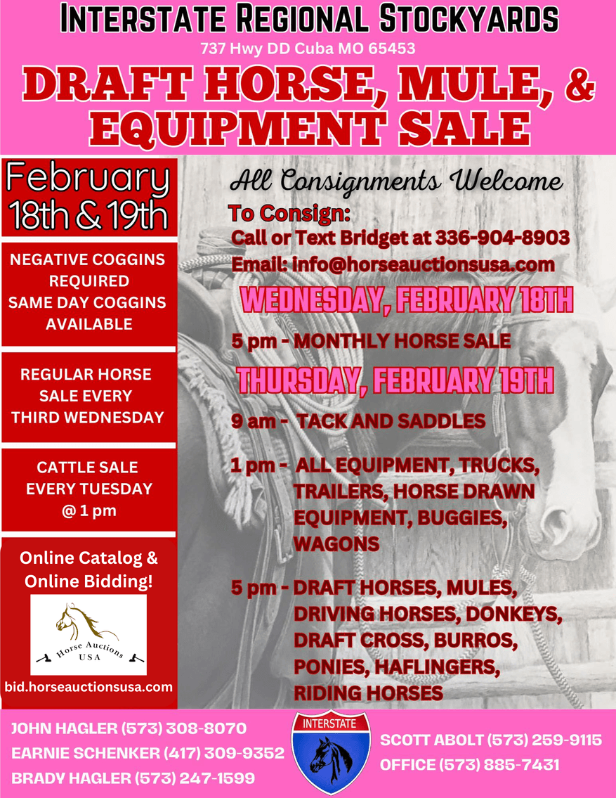 Image for Interstate Regional Stockyards TWO DAY FEBRUARY SPECIAL - DAY 2 - THURSDAY FEBRUARY 19TH