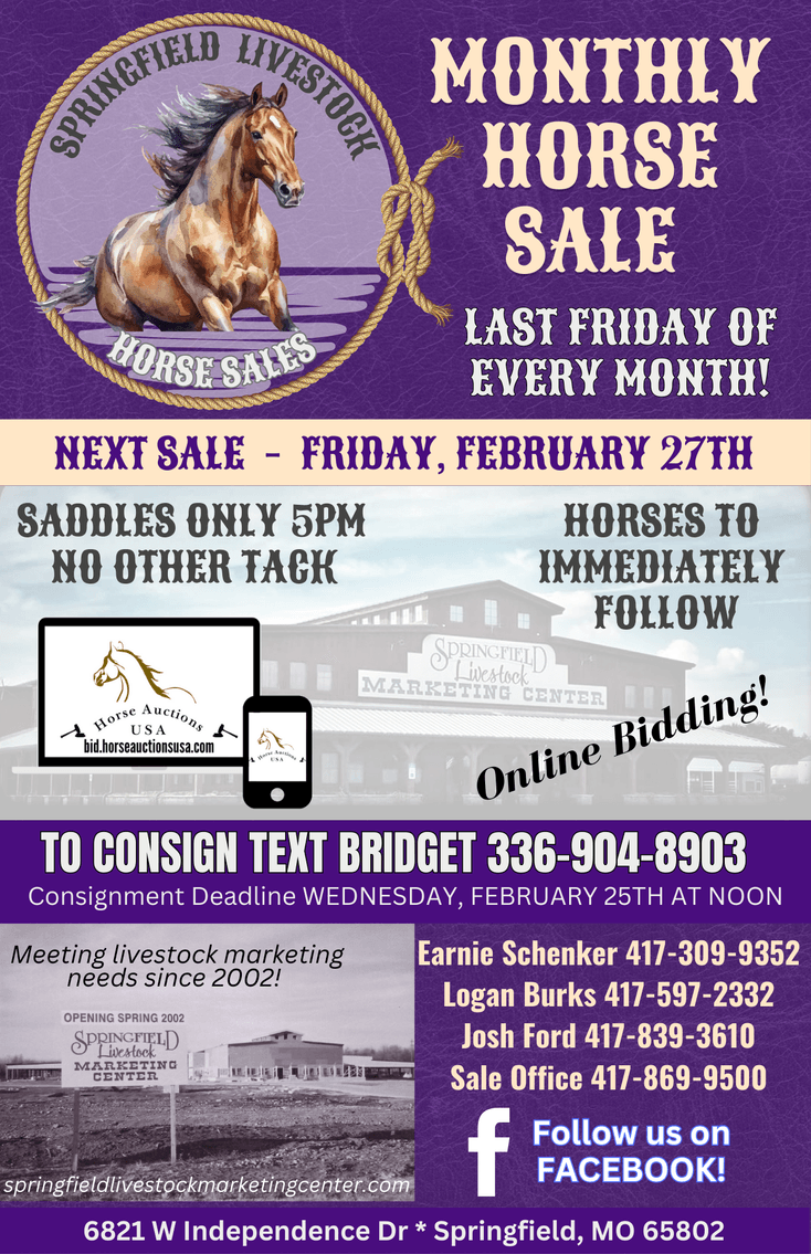 Image for Springfield Livestock Horse Sale FRIDAY FEBRUARY 27TH - Springfield, MO