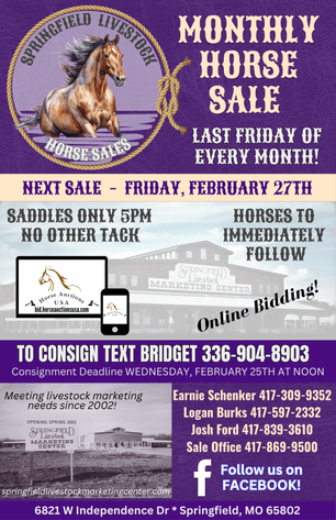 Image for Springfield Livestock Horse Sale FRIDAY FEBRUARY 27TH - Springfield, MO