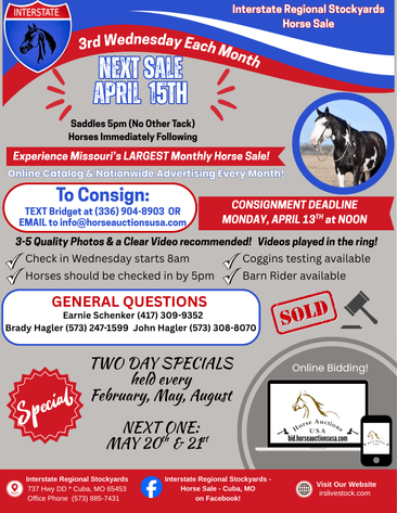 Image for Interstate Regional Stockyards Horse Sale - Cuba, Missouri WEDNESDAY APRIL 15TH