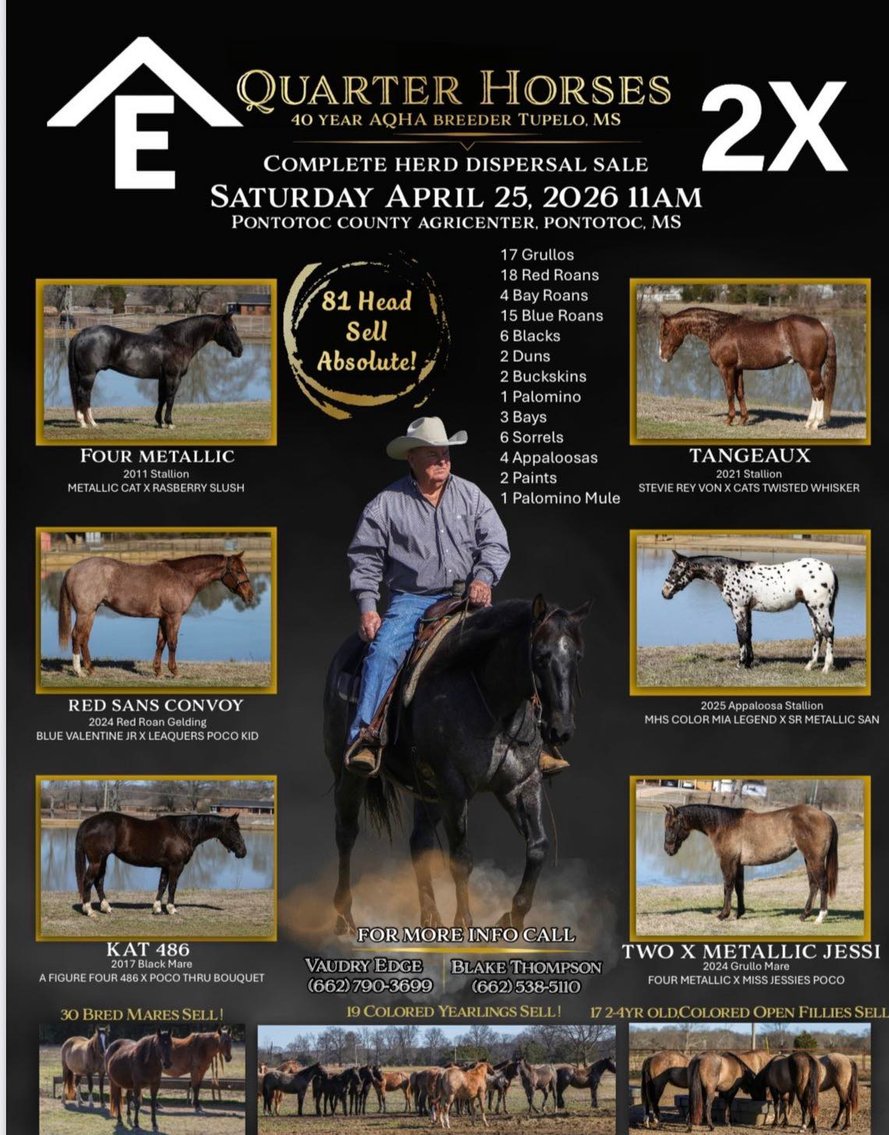 Image for Rafter E Quarter Horses Complete Dispersal - SATURDAY, APRIL 25TH -Pontotoc, Mississippi