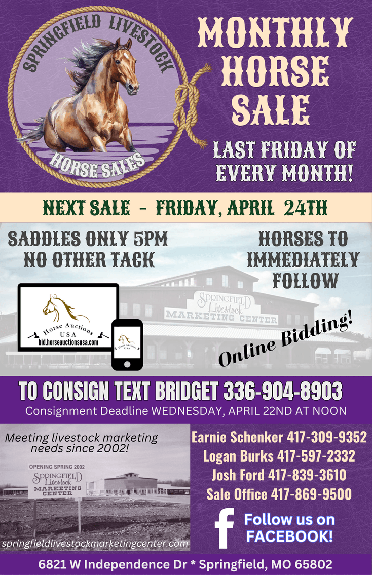 Image for Springfield Livestock Horse Sale FRIDAY APRIL 24TH - Springfield, MO