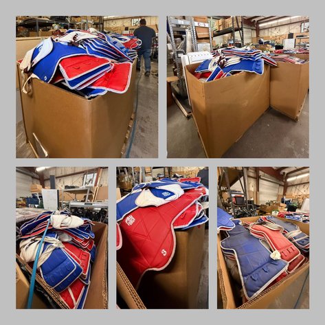 Image for Bulk Lot – ProForce Boxing & MMA Chest Guards & Headgear (700–900 Units Total)