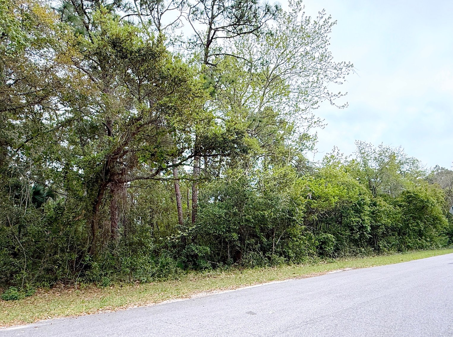 Image for Absolute Auction | HC/LI Zoned Lots | Gulf Beach Hwy Corridor