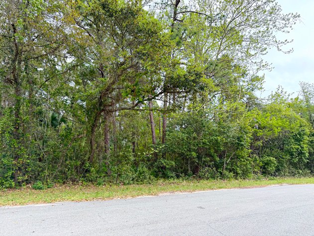 Image for Absolute Auction | HC/LI Zoned Lots | Gulf Beach Hwy Corridor