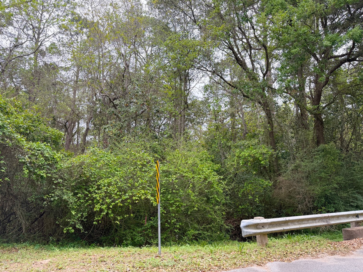 Image for Absolute Auction | HC/LI Zoned Lots | Gulf Beach Hwy Corridor