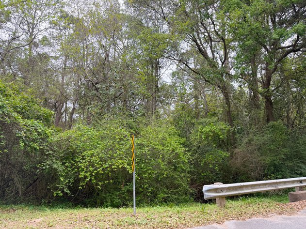 Image for Absolute Auction | HC/LI Zoned Lots | Gulf Beach Hwy Corridor