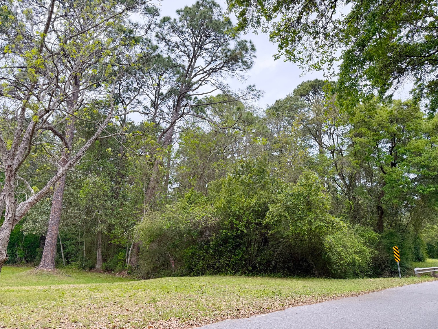 Image for Absolute Auction | HC/LI Zoned Lots | Gulf Beach Hwy Corridor