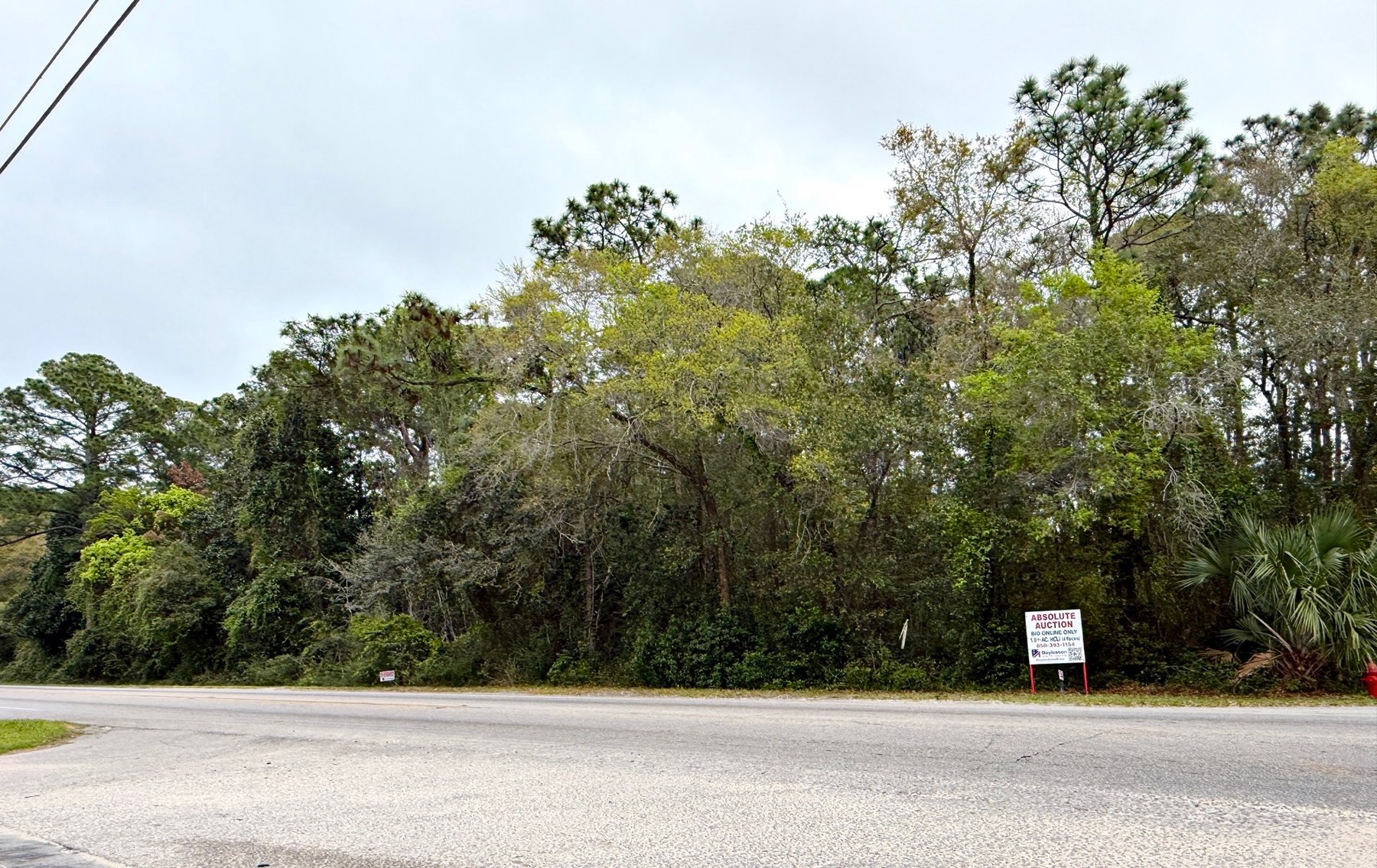 Image for Absolute Auction | HC/LI Zoned Lots | Gulf Beach Hwy Corridor