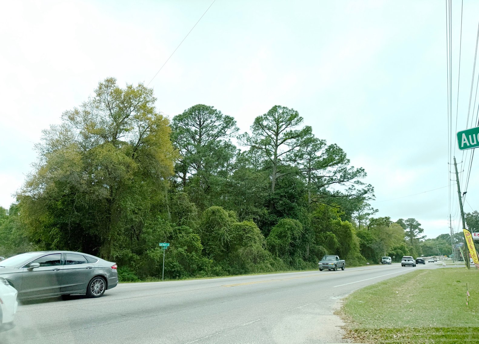 Image for Absolute Auction | HC/LI Zoned Lots | Gulf Beach Hwy Corridor