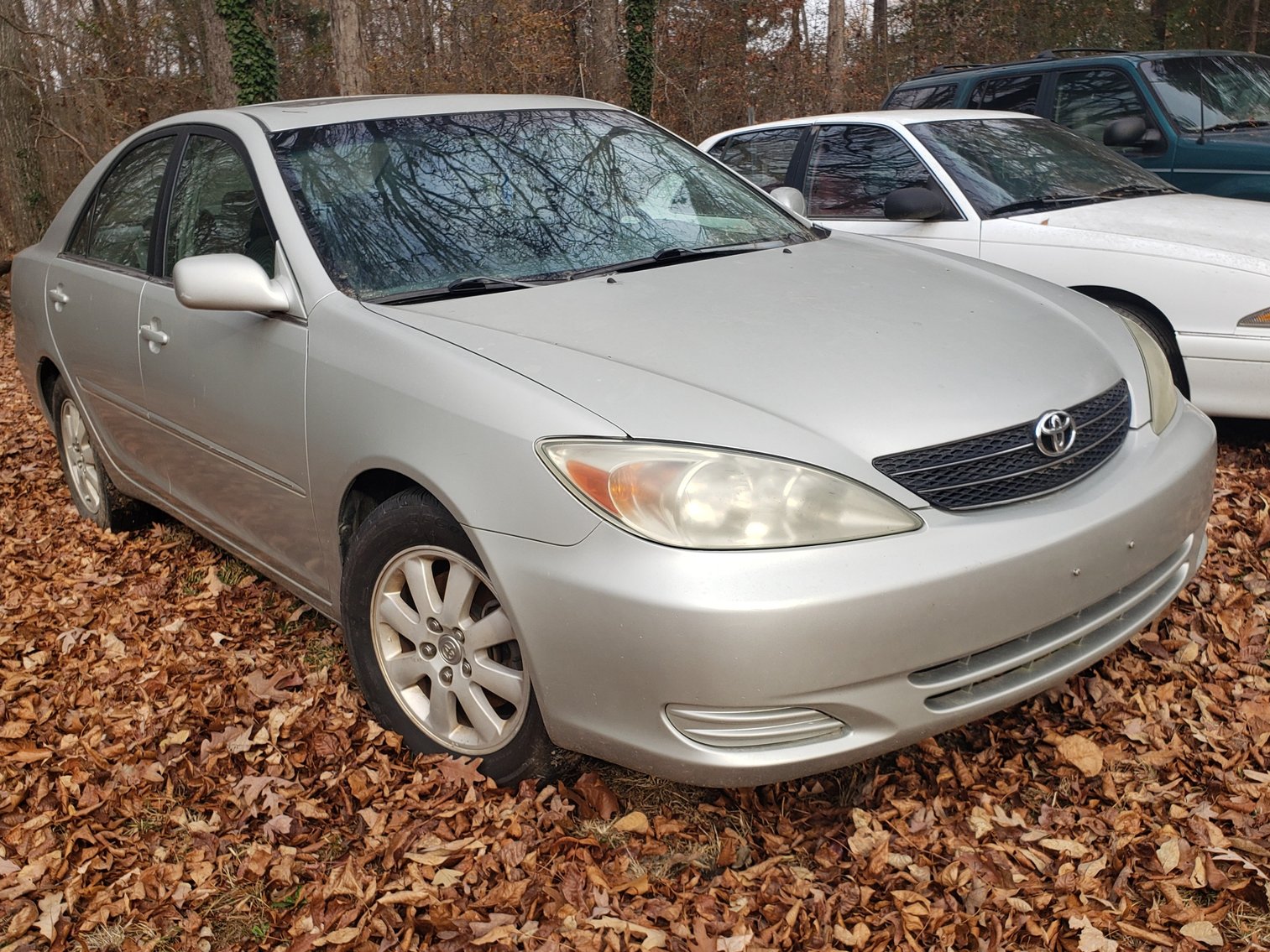 Image for Peggy Gregory Estate (deceased)