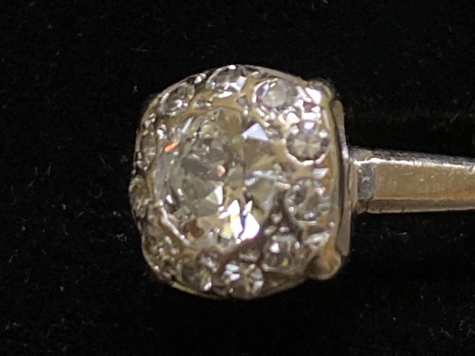 Image for Living Estate of Diana Huth