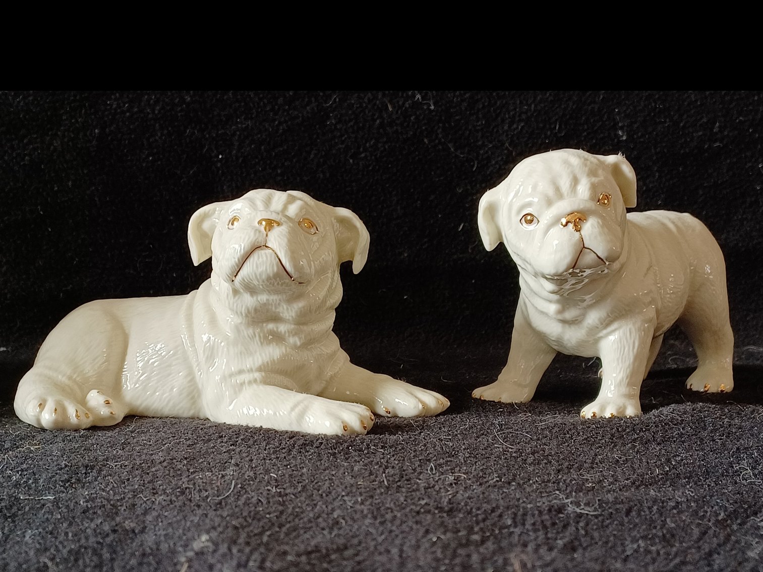 Image for Living Estate of Diana Huth