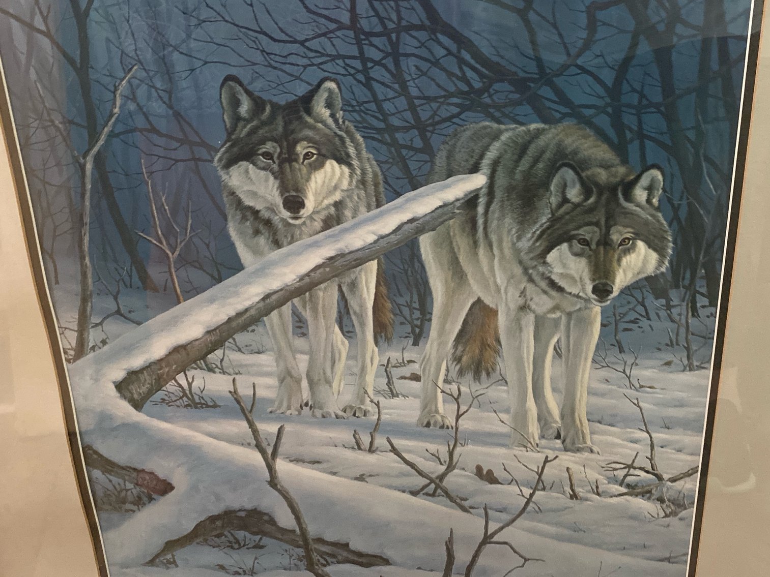 Image for Cunningham / Beskow Estate