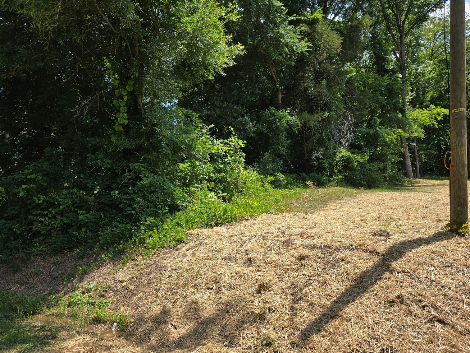 Image for Vacant Lot on Glenn