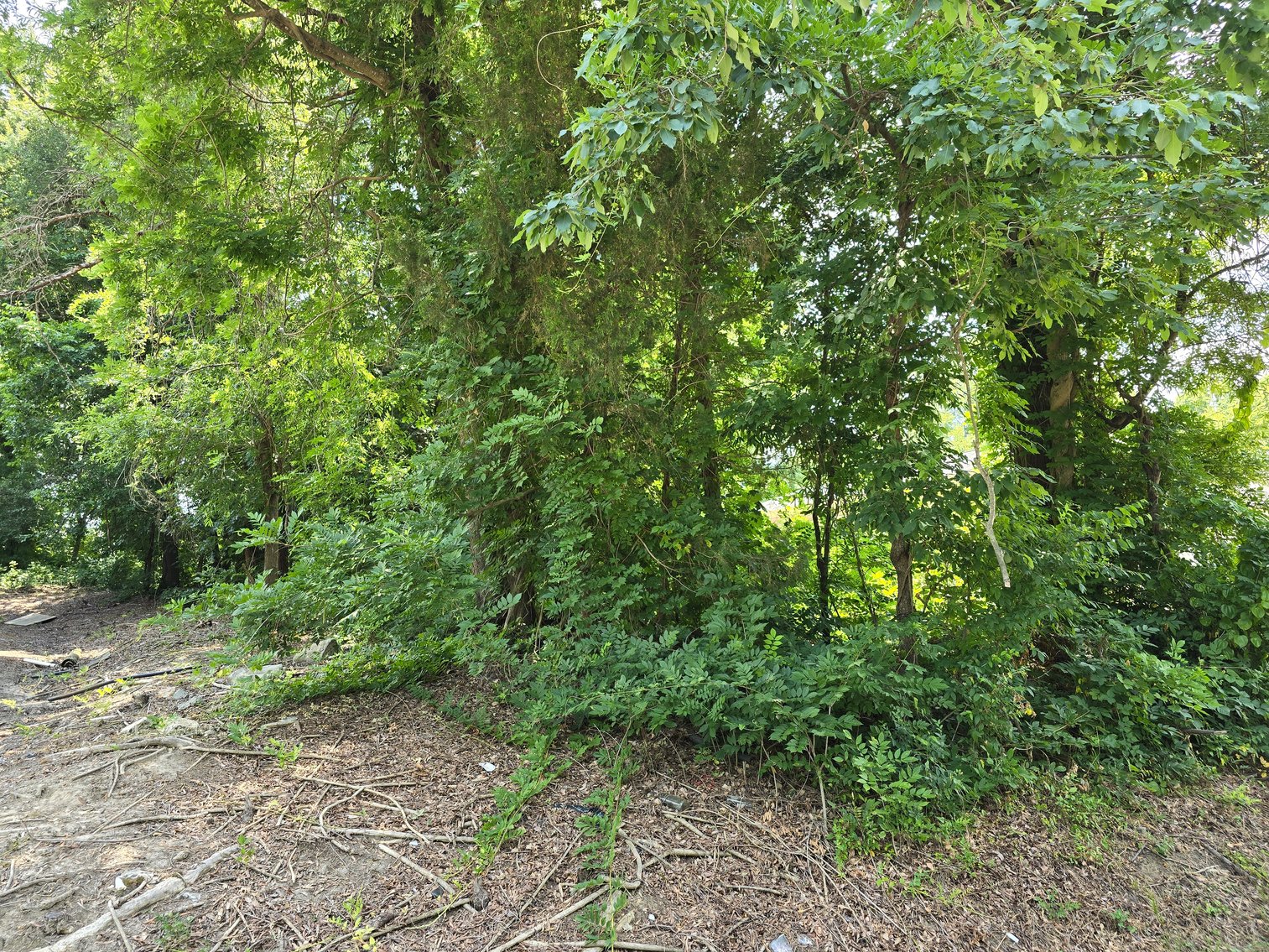 Image for Vacant Lot on Glenn