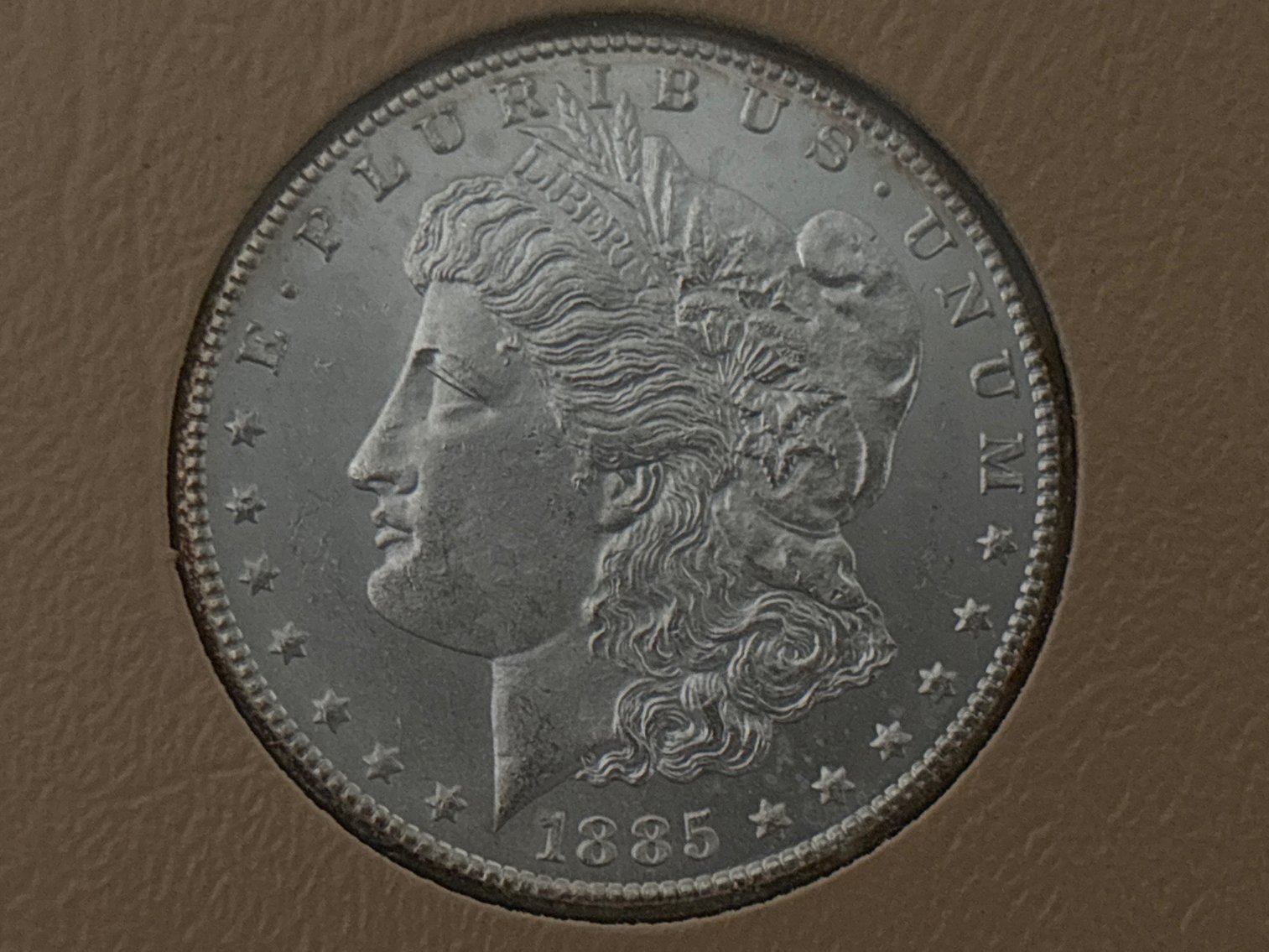 Image for Newton Estate