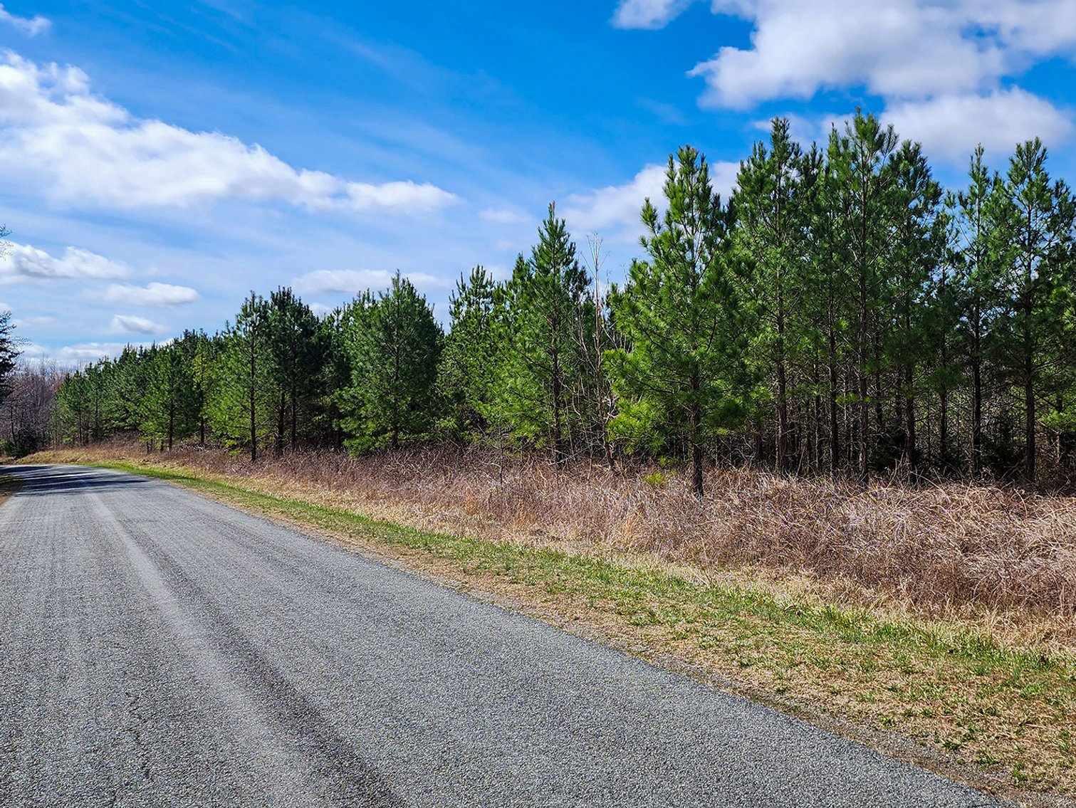 Image for 76 Acres on Birch Creek in Halifax County