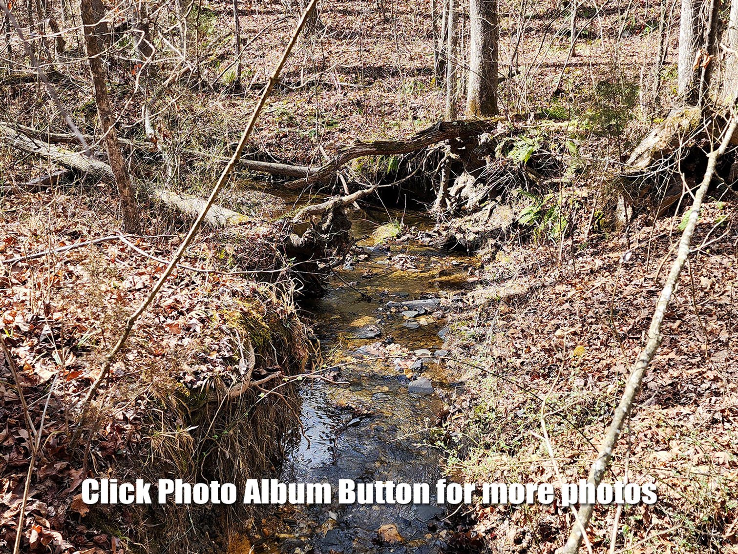 Image for 76 Acres on Birch Creek in Halifax County