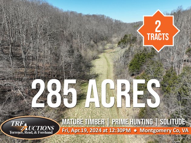 285 Wooded Acres near Christiansburg