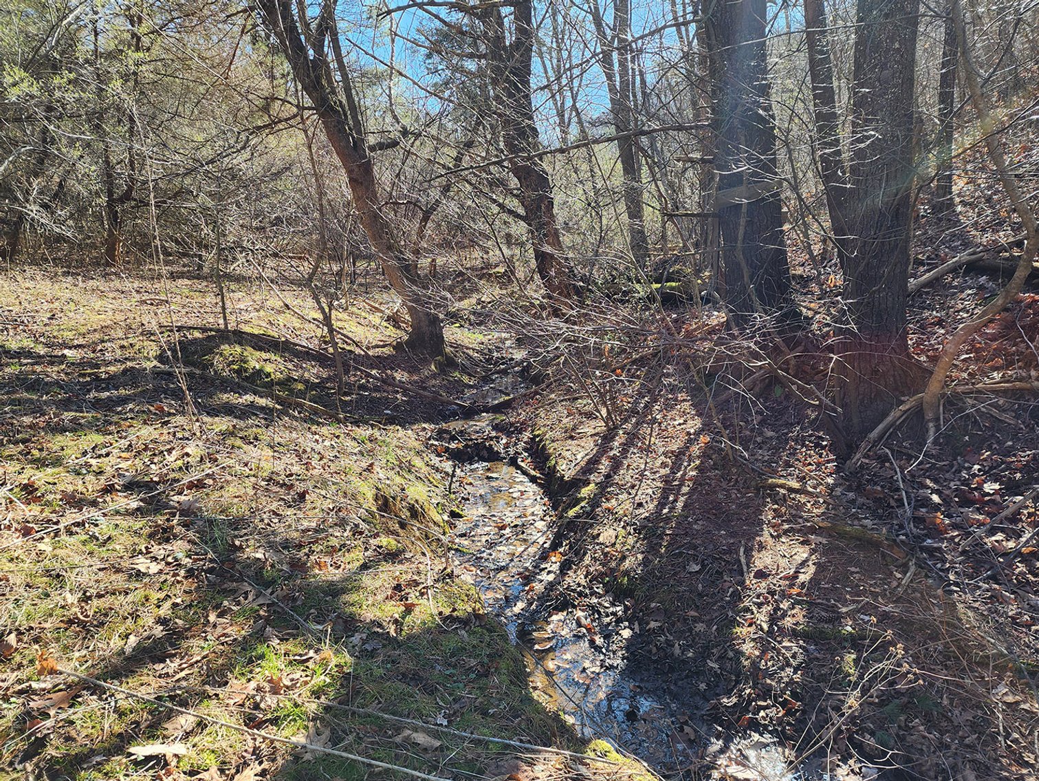 Image for 285 Wooded Acres near Christiansburg