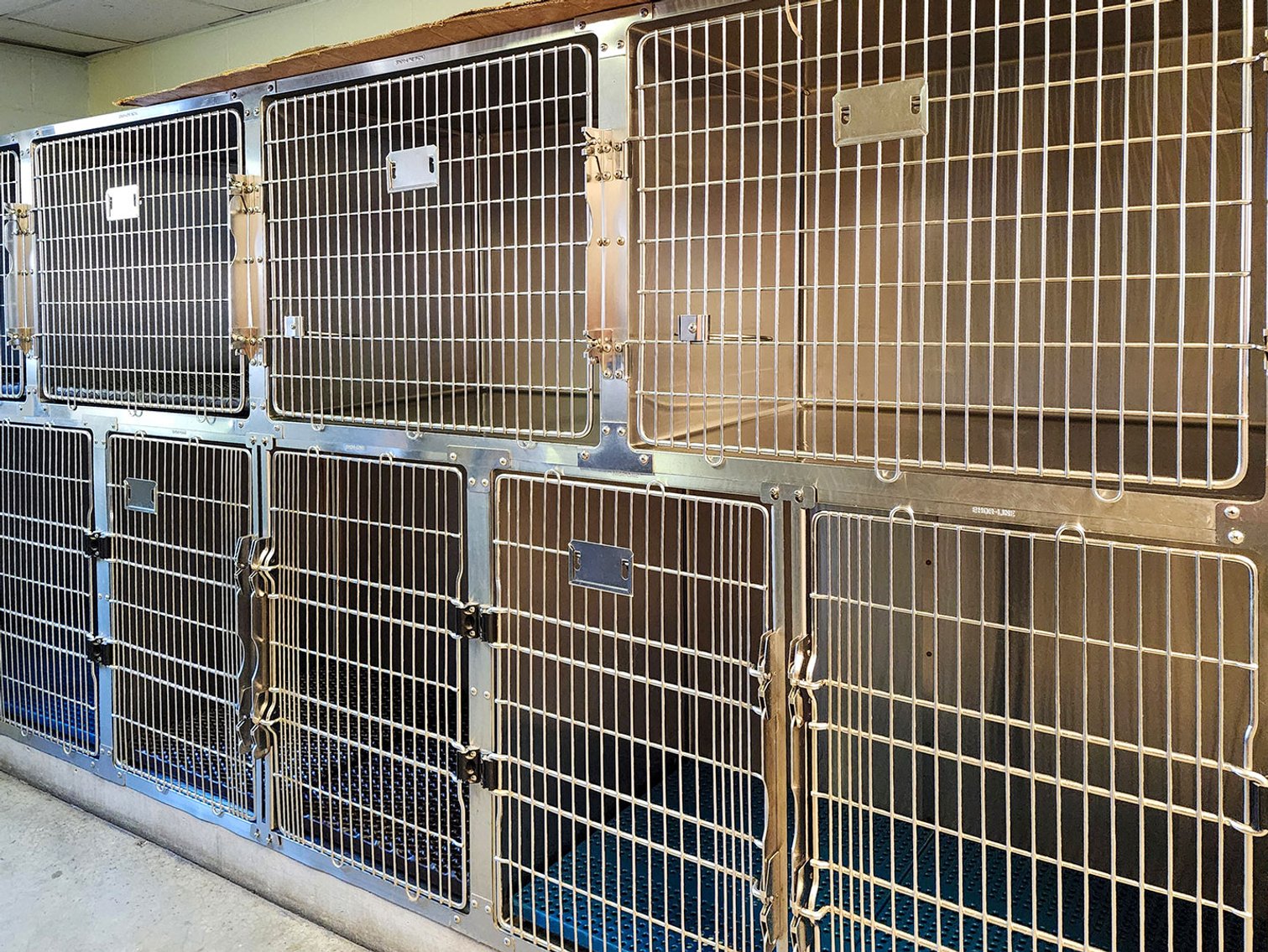 Image for Veterinarian Liquidation -Gretna Animal Clinic