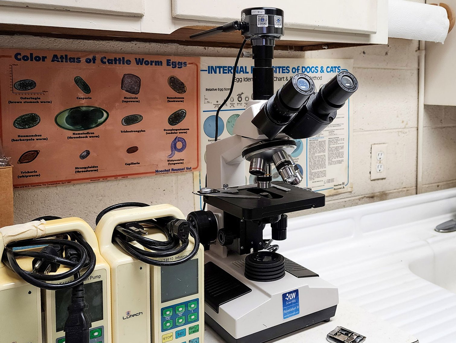 Image for Veterinarian Liquidation -Gretna Animal Clinic