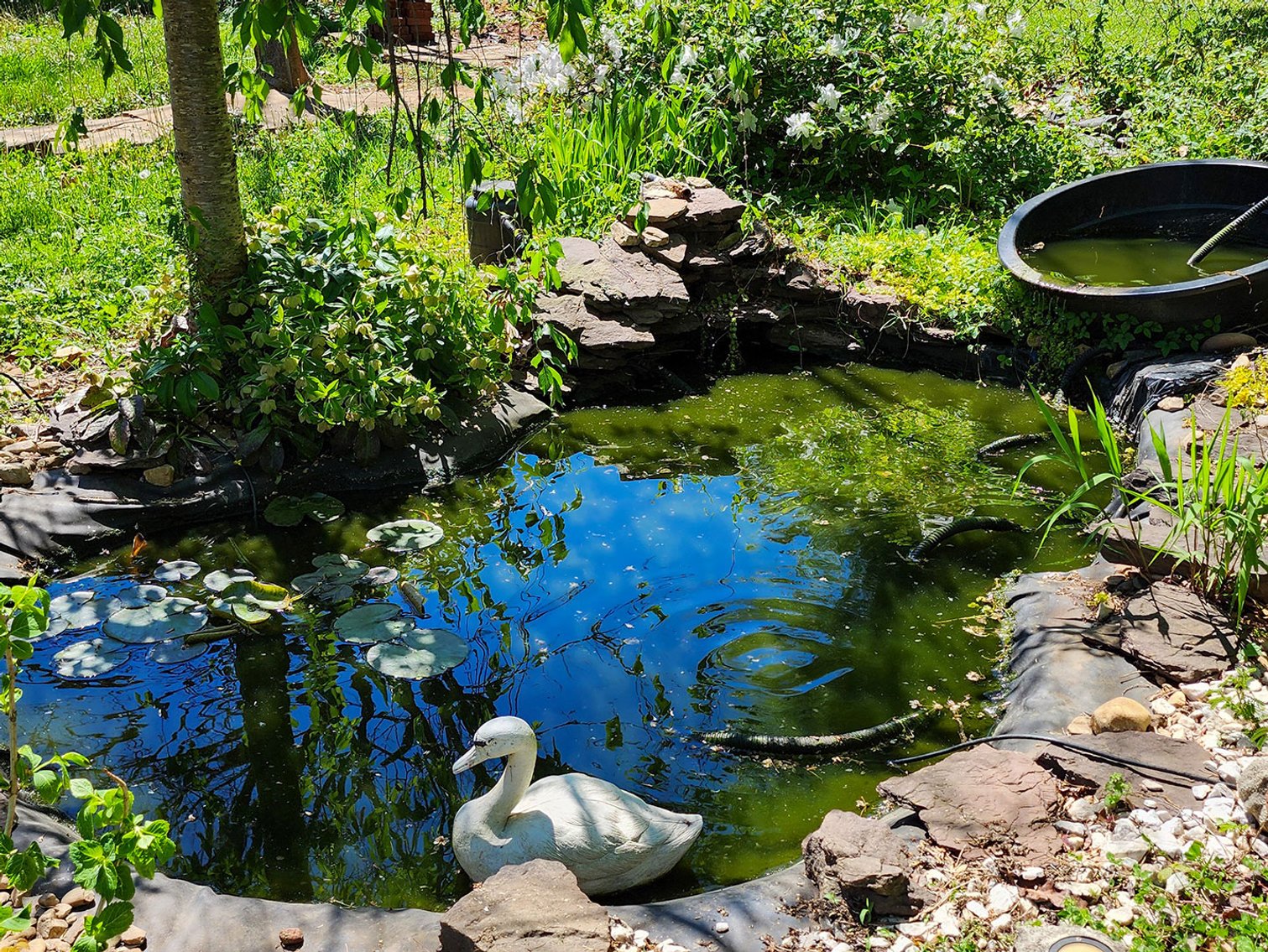 Image for 709 Old Graves Mill Rd