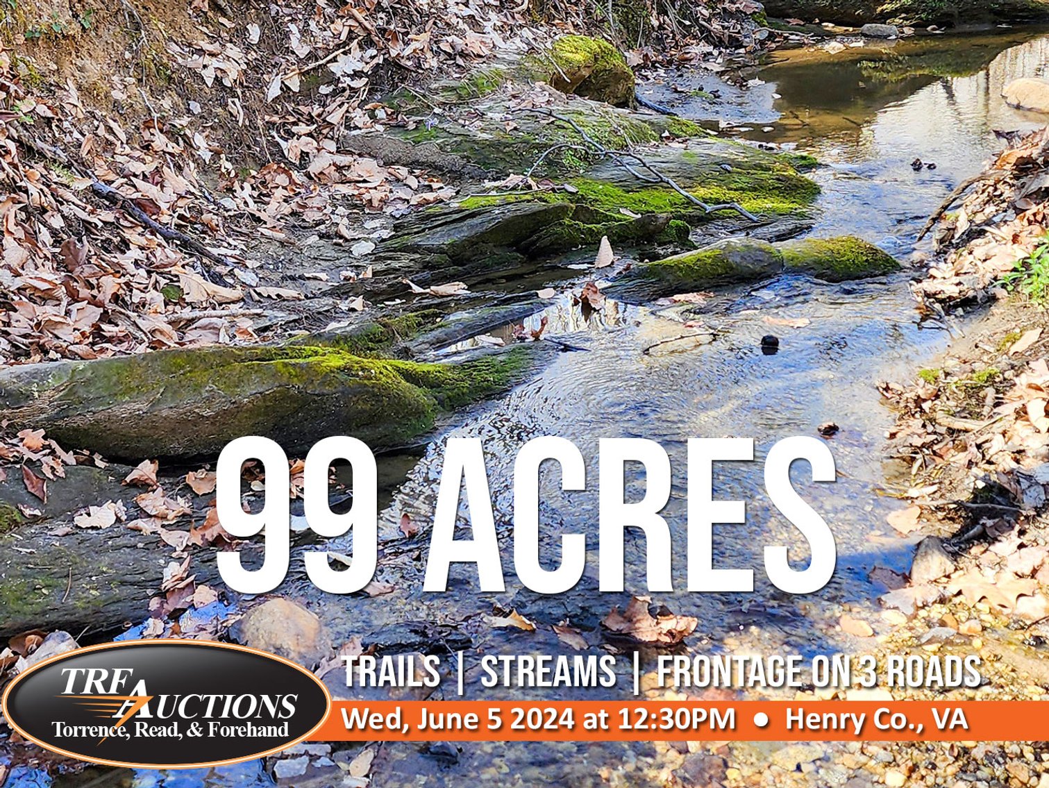 Image for 99 Acres in Henry County, VA