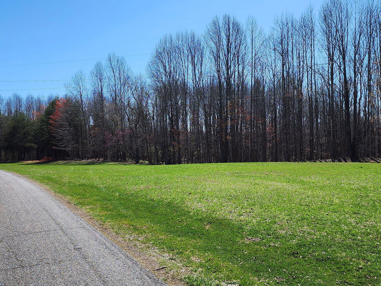 Image for 99 Acres in Henry County, VA