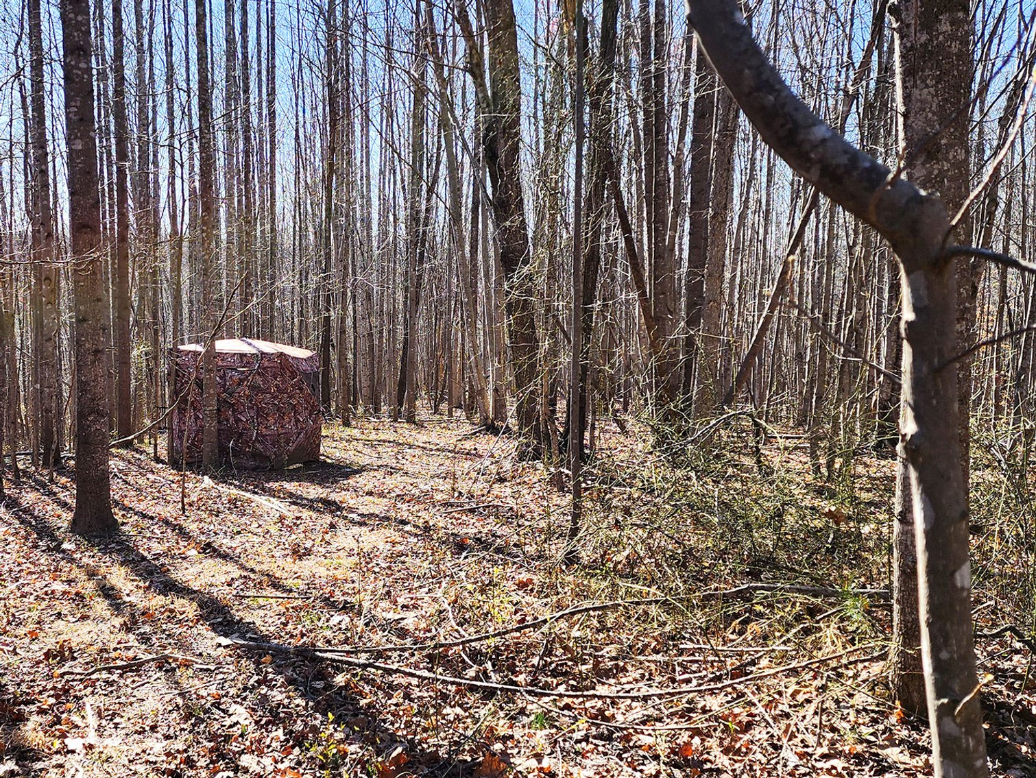 Image for 99 Acres in Henry County, VA