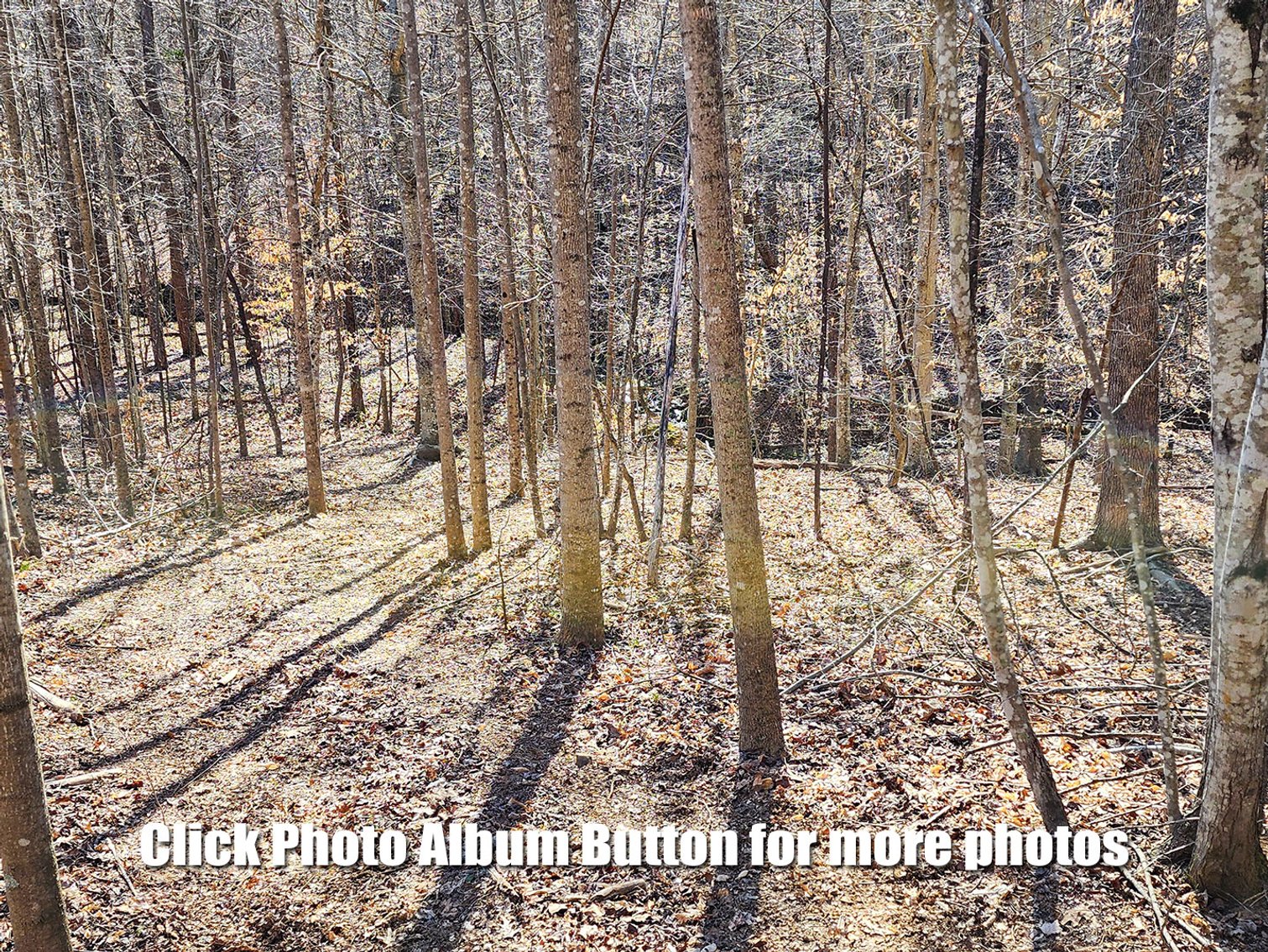 Image for 99 Acres in Henry County, VA