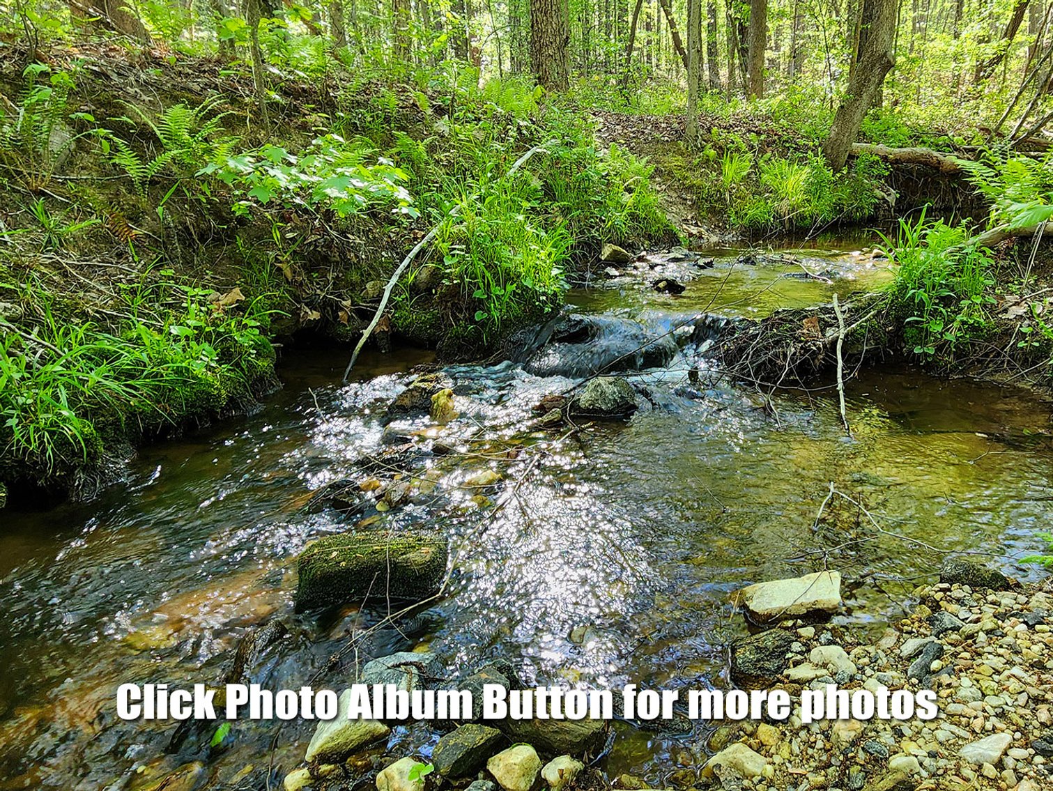 Image for Carya Collis: Beautiful 103 Acre Homestead in Red House VA