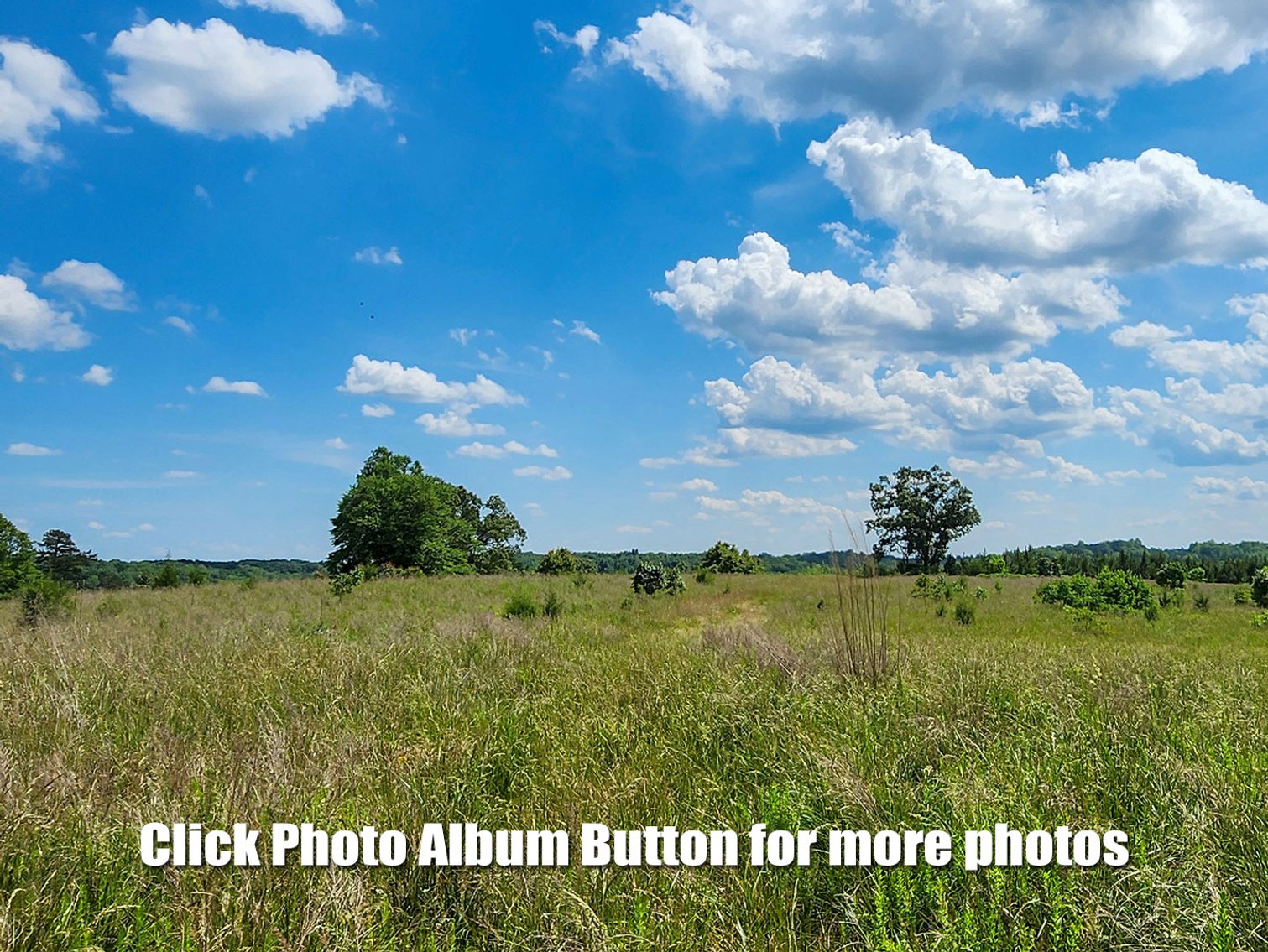 Image for Multi-Parcel Land Auction in Pittsylvania County VA