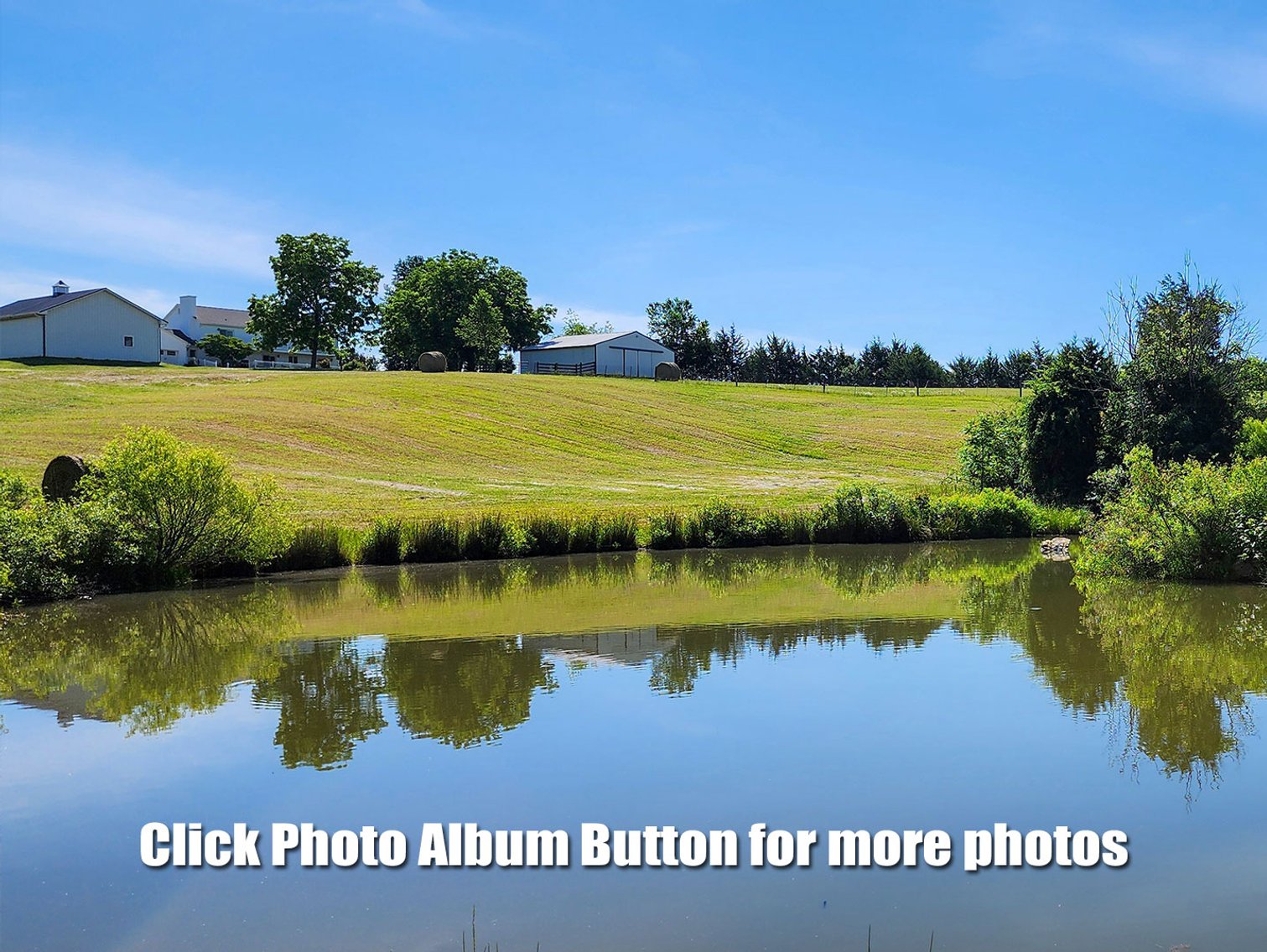 Image for 77 Acre Country Estate in Appomattox VA