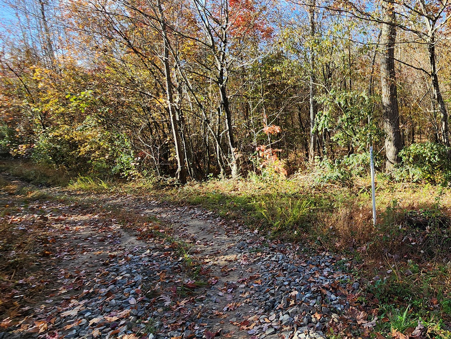 Image for Waddell Woods Subdivision