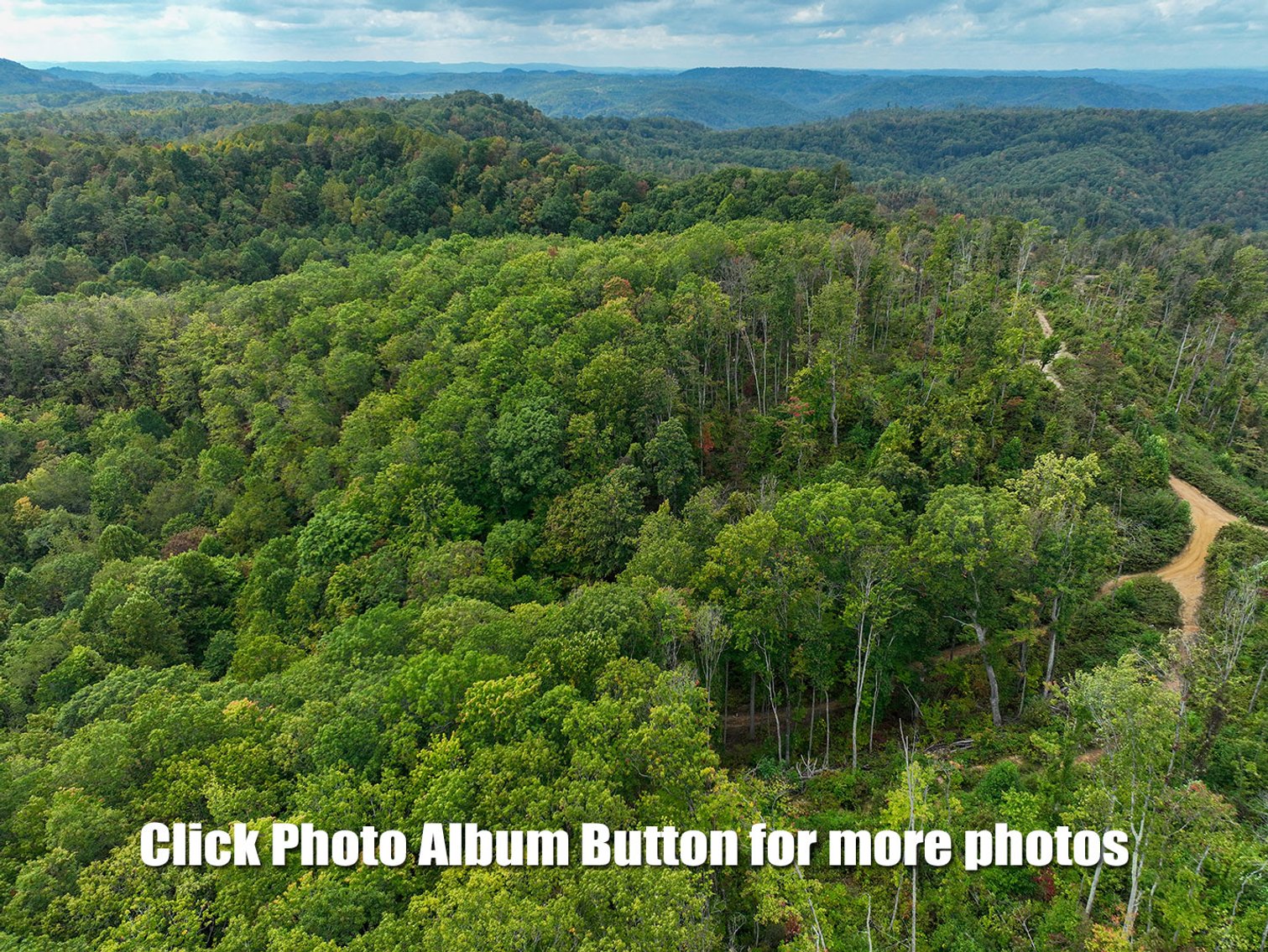 Image for 513 Acres in 4 Tracts