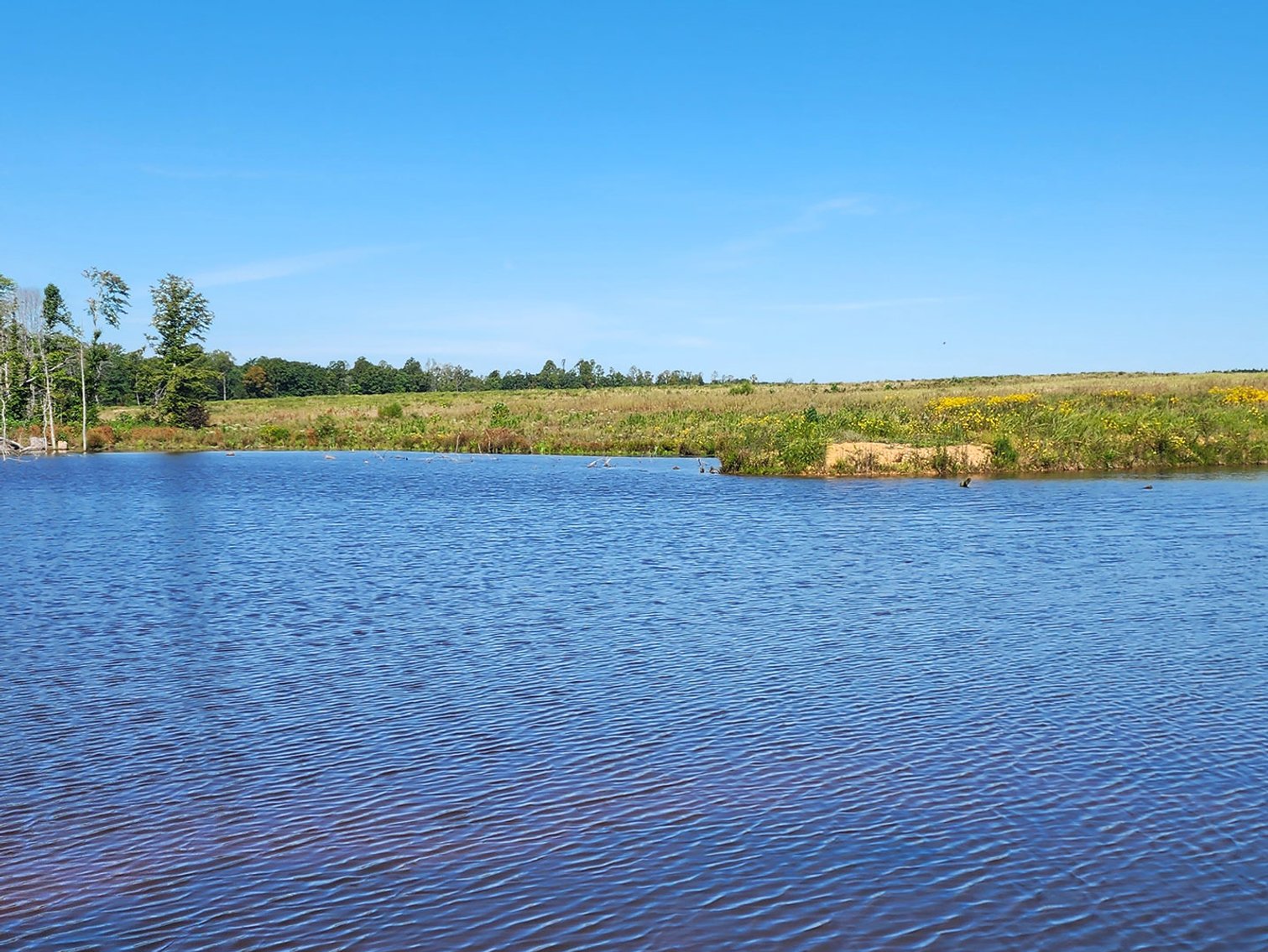 Image for 1202 Acre Farm in Scottsville VA