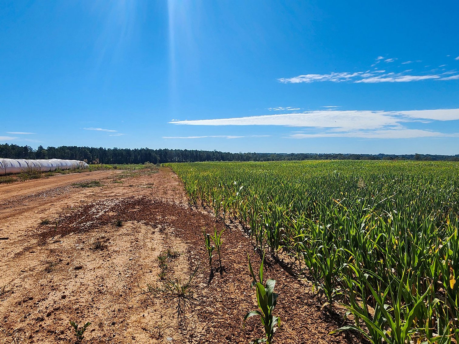 Image for 1202 Acre Farm in Scottsville VA