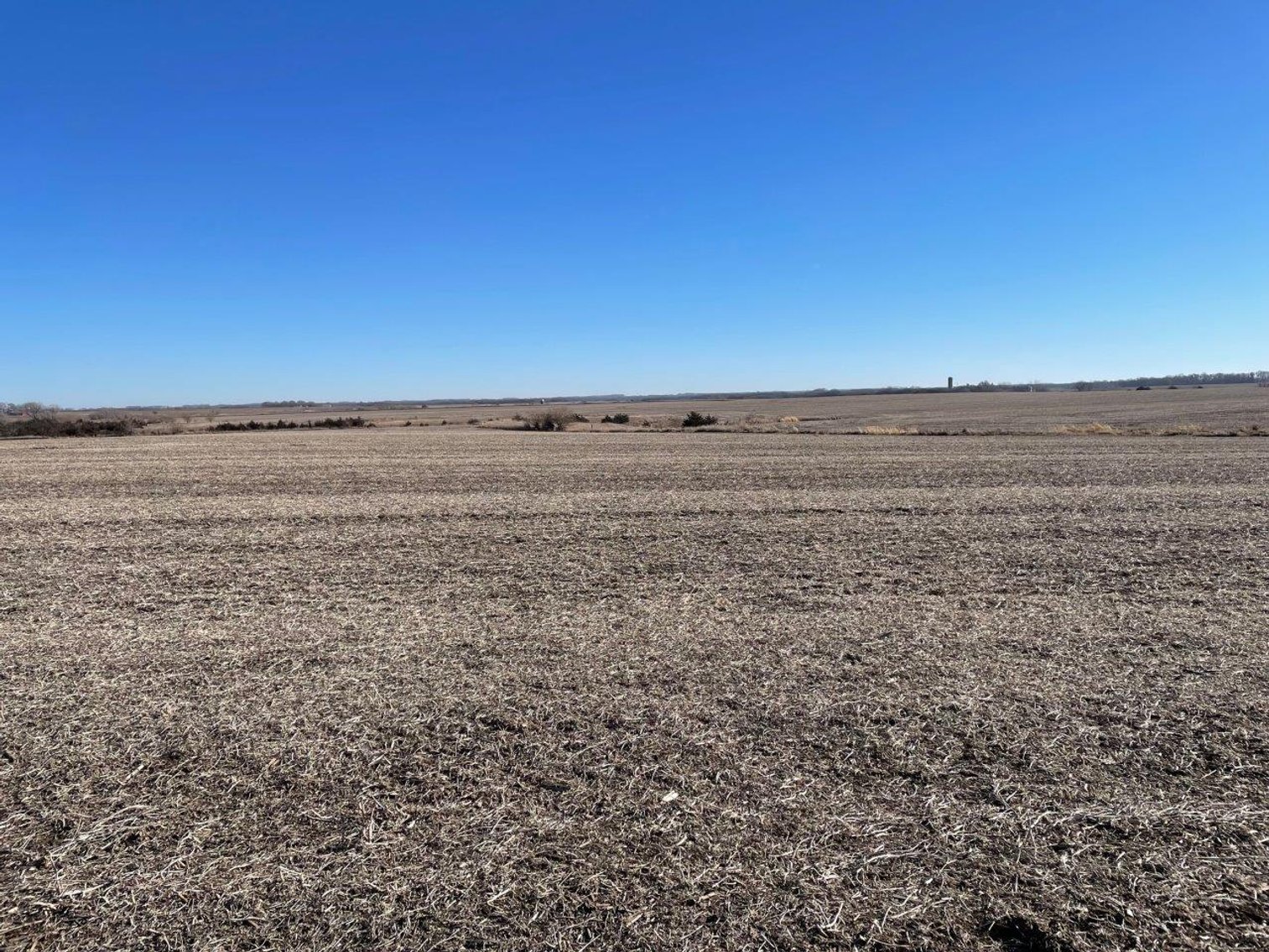 Image for O'Brien County Land Auction!